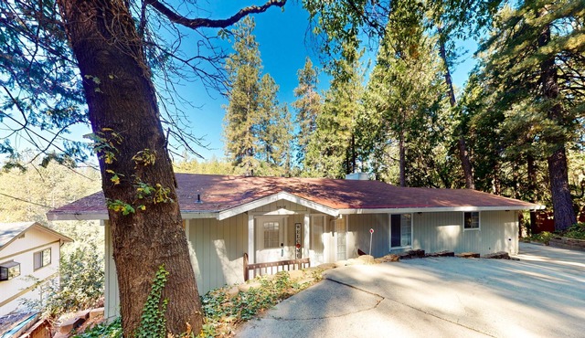 Delightful wooded oasis with balcony, AC, W/D, & wonderful views of wildlife