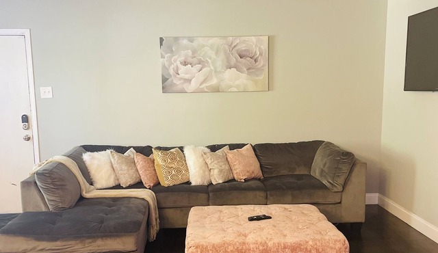 Delmar Loop Luxury | 10 minutes from everything