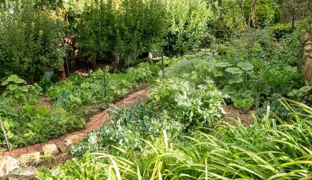 Delphi, Adelaide Hills Garden BnB