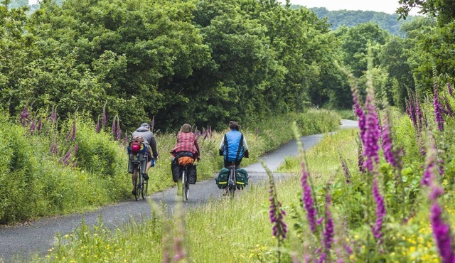 Deluxe Apartment in Peaceful Devon Countryside