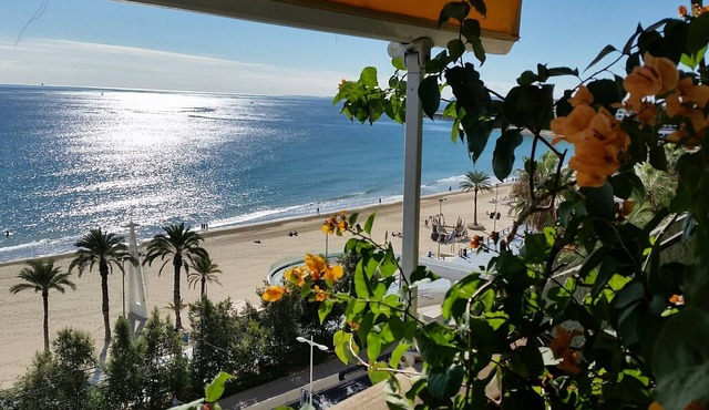 Deluxe apartment on the first line of the beach in Alicante