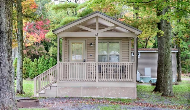 Deluxe Cabin 40 w/4 Beds