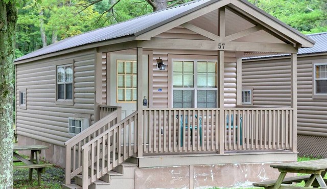 Deluxe Cabin 41 w/4 Beds