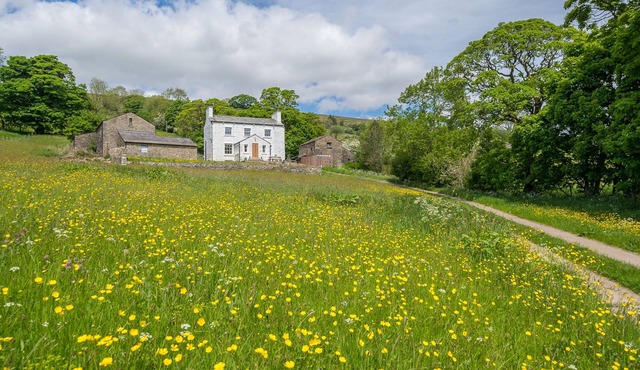 Deluxe Cottage with two acres of landscape