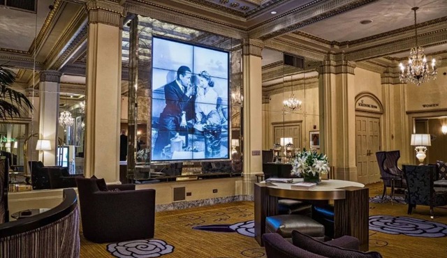 Deluxe King w/Timeless Charm | Pet-Friendly
