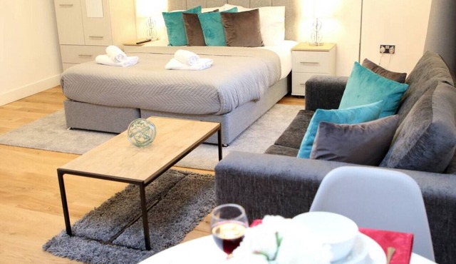 Deluxe Modern Studio Apartment