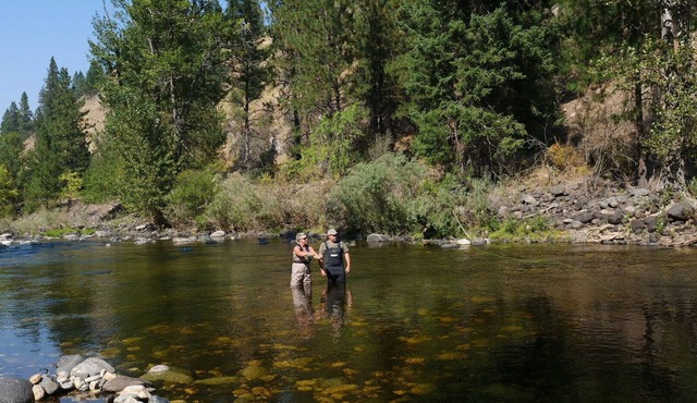 Deluxe Motorhome by the River