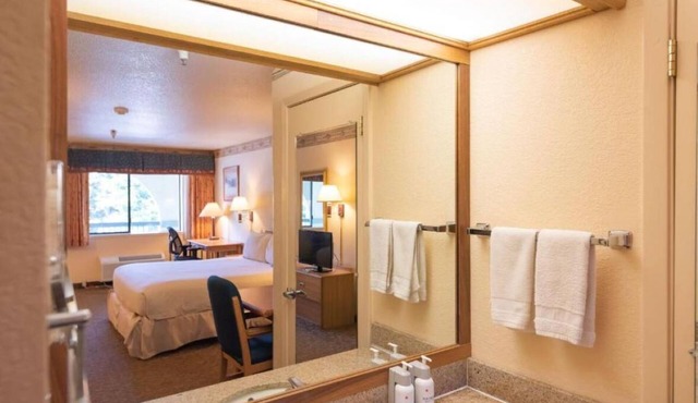 Deluxe Room 1 King Bed