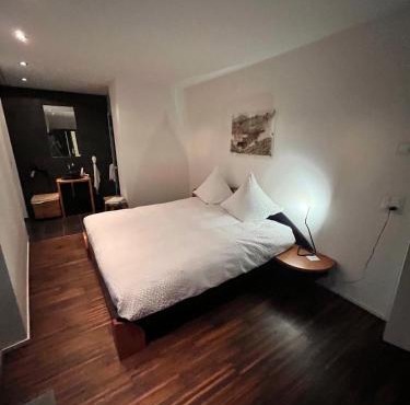 Deluxe Zimmer in Privatwohnung an zentraler Lage