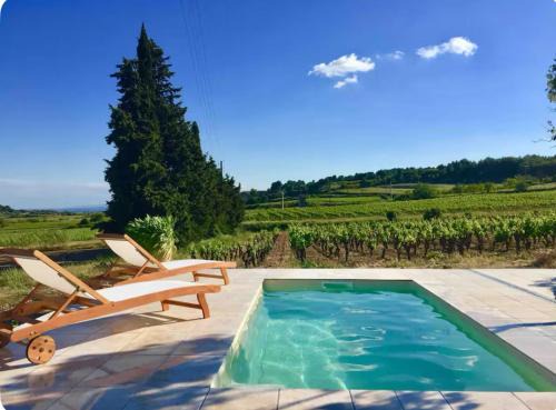 Demeure Charmante avec Piscine privée au coeur des Vignes