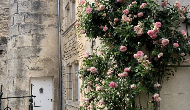 Demeure de la tour ronde