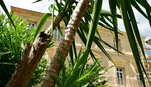 Demeure de Sainte Clotilde, idéale pour les fêtes et les anniversaires