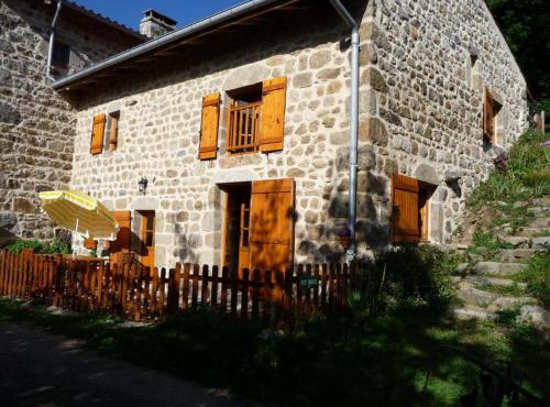 Demeure Forézienne 19e s., Jardin & Animaux admis - FR-1-496-205