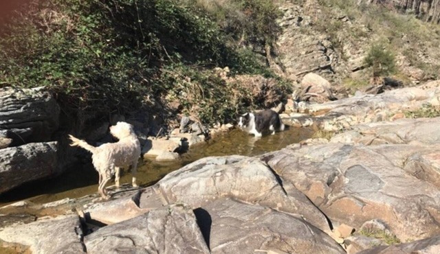 Dempsey's Cottage - Relax on 400 beautiful acresn