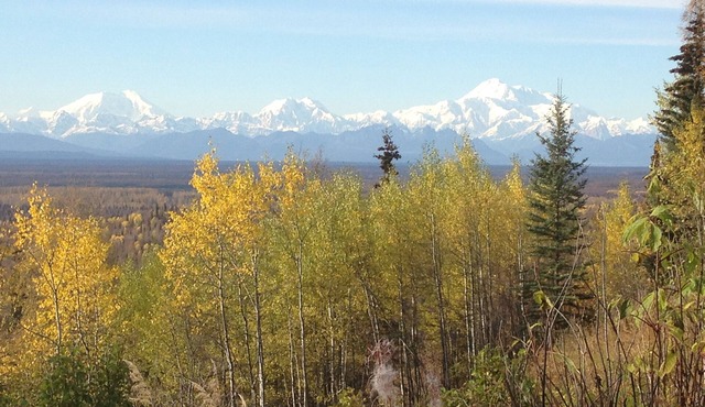 Denali View Mountaintop Guesthouse