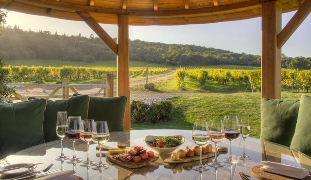 Denbies Vineyard Hotel