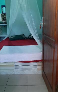 Dendi guest house & orang utan explore
