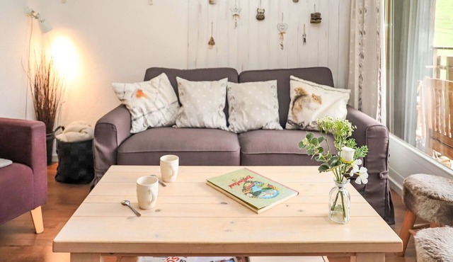 Dents Rousses E3 by Interhome