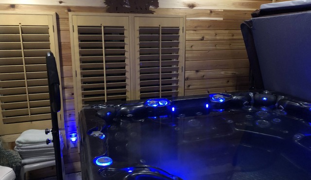 Denver Blue Bear Romantic Spa Getaway: Private 1 BR Apartment with NEW Spa Room