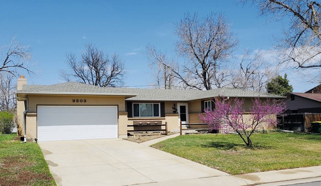 Denver Haven|Yard Games|Close to City and Mountains|