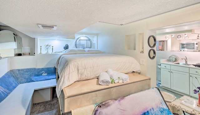 Denver Studio: Walkable to City Park + Dining