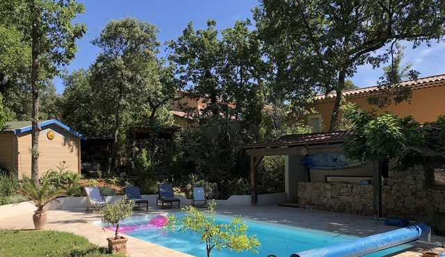 dependence the Mimosa