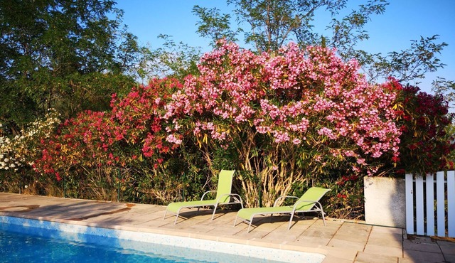 depontet-fronzele oil mill: gite "le laurier