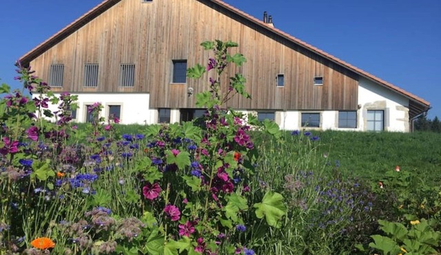 Der Charakter Eines Alten Bauernhofs im Herzen der Natur