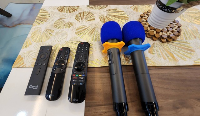 Desaru Brown House 22 pax KTV-BBQ-Netflix-Home Theatre