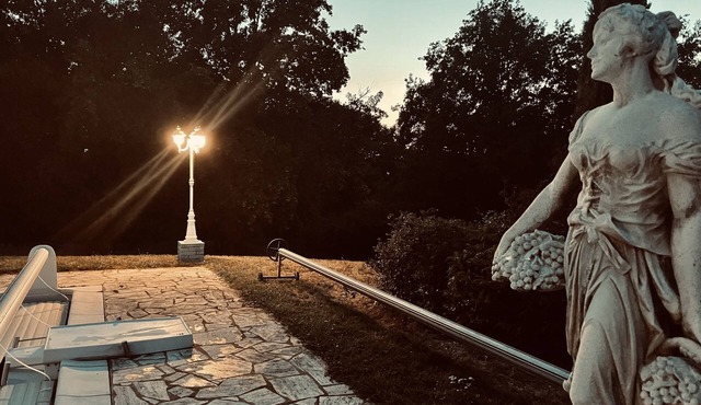 Description générale