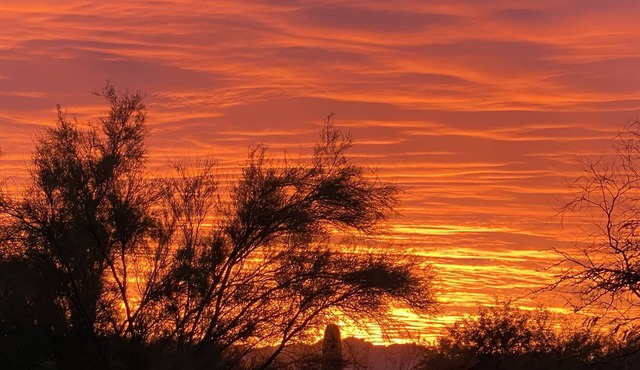 Desert Dwellers , Mountain Views, House , Gated La Paloma, close to U of A