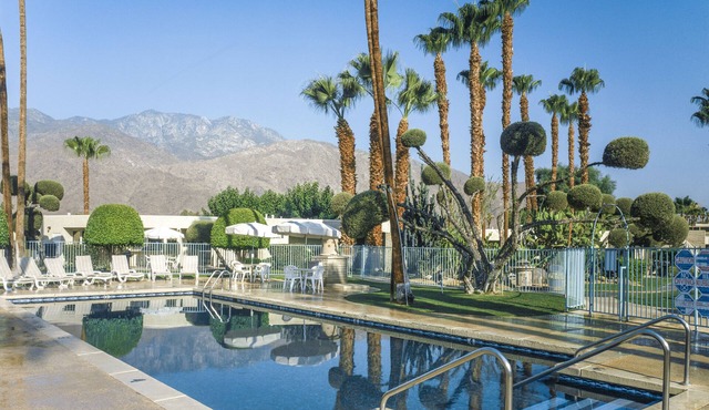 Desert Isle of Palm Springs