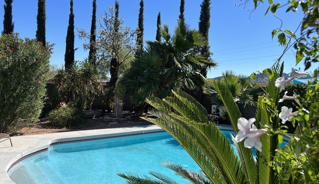 Desert Oasis- Heated Pool & Hot Tub!