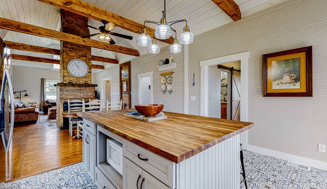 Designer historic home with amazing art, antiques, central AC - walk to downtown