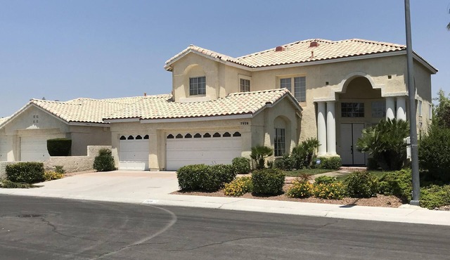 Designer Home with Large Pool
