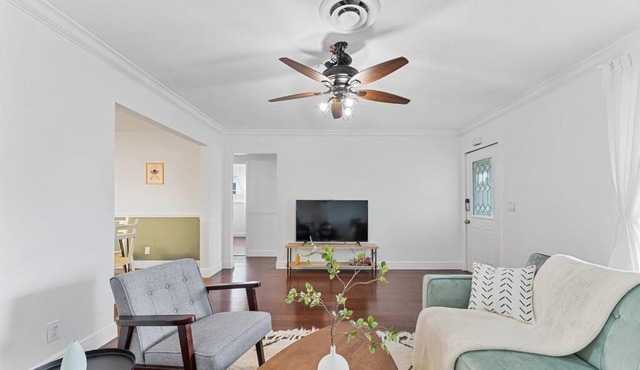 Designer Home with Private Pool in Hollywood