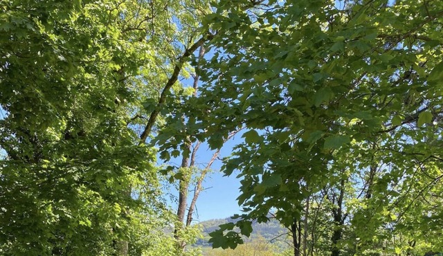 Designer loft in a very beautiful property