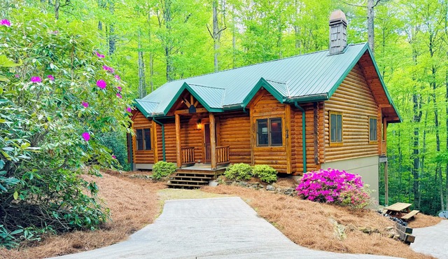 Designer Log Cabin - Outdoor Fire Pit - Resort Amenities