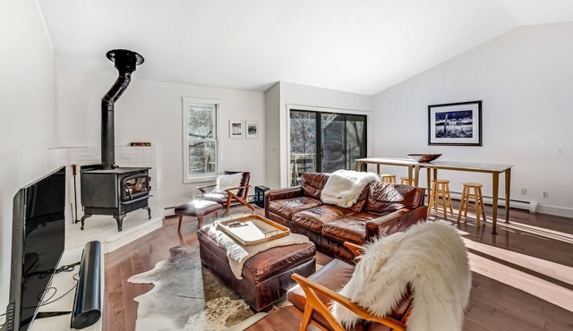 Designer vacation rental - mountain view, wood stove, washer/dryer, full kitchen