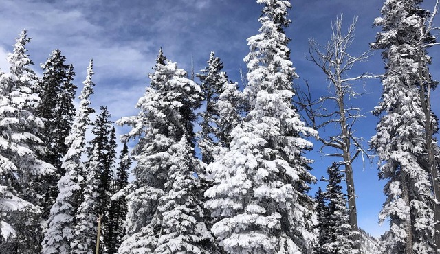 Desireable Aspens' Berry Patch Condo Creekside Secluded New Bathroom & Floors