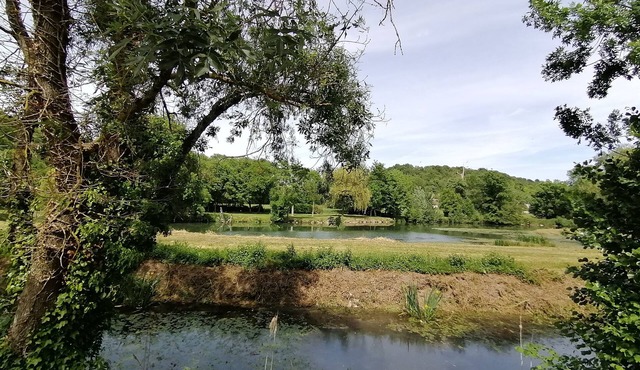 Detached country house with pool and riverfront