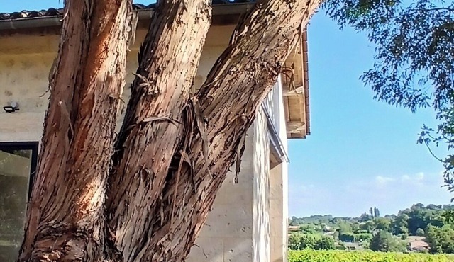 Detached 2/4 bed stone studio near Saint-Émilion and Bordeaux.