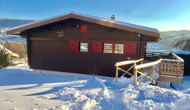 Detached chalet with panoramic view of Lac de Gérardmer, WIFI, Sauna