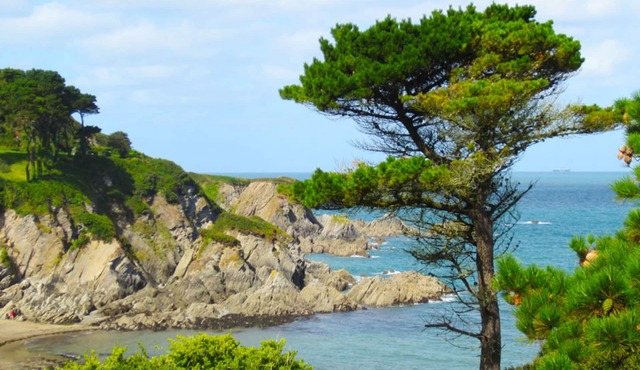 Detached Cottage Overlooking The Sea
