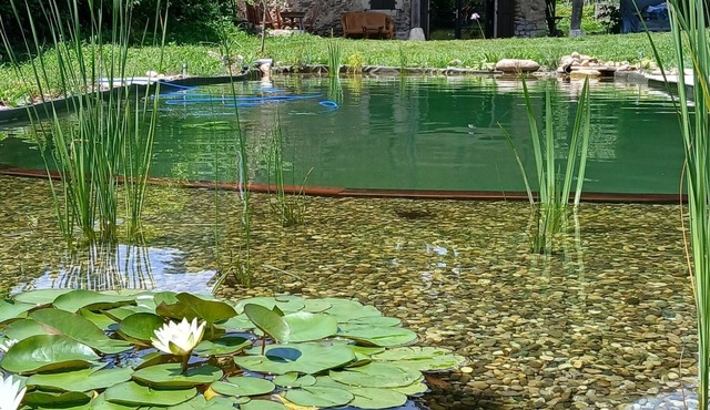 Detached cottage with natural swimming pool