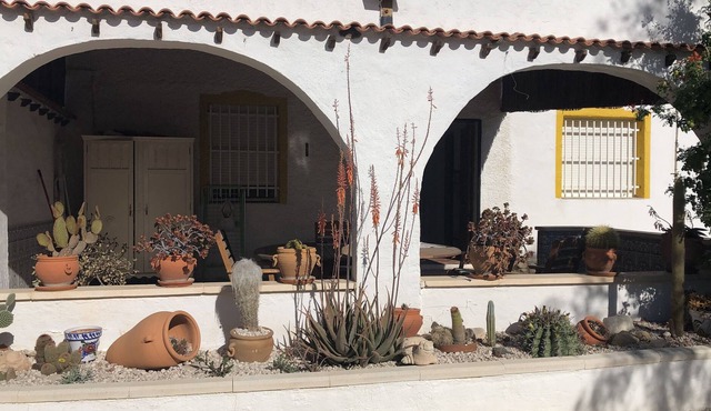 Detached finca with swimming pool in nature