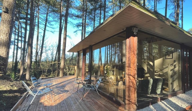Detached forest house in the heart of the pines
