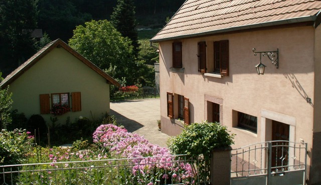 Detached renovated house with forest view