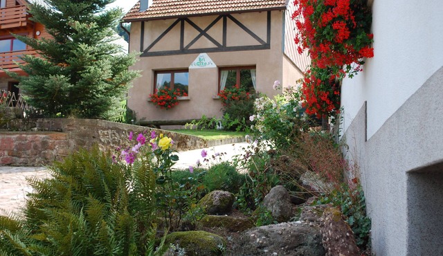 Detached house for 4 people