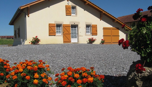Detached gite near Dax Préchacq les bains, Landes coast. Pets allowed